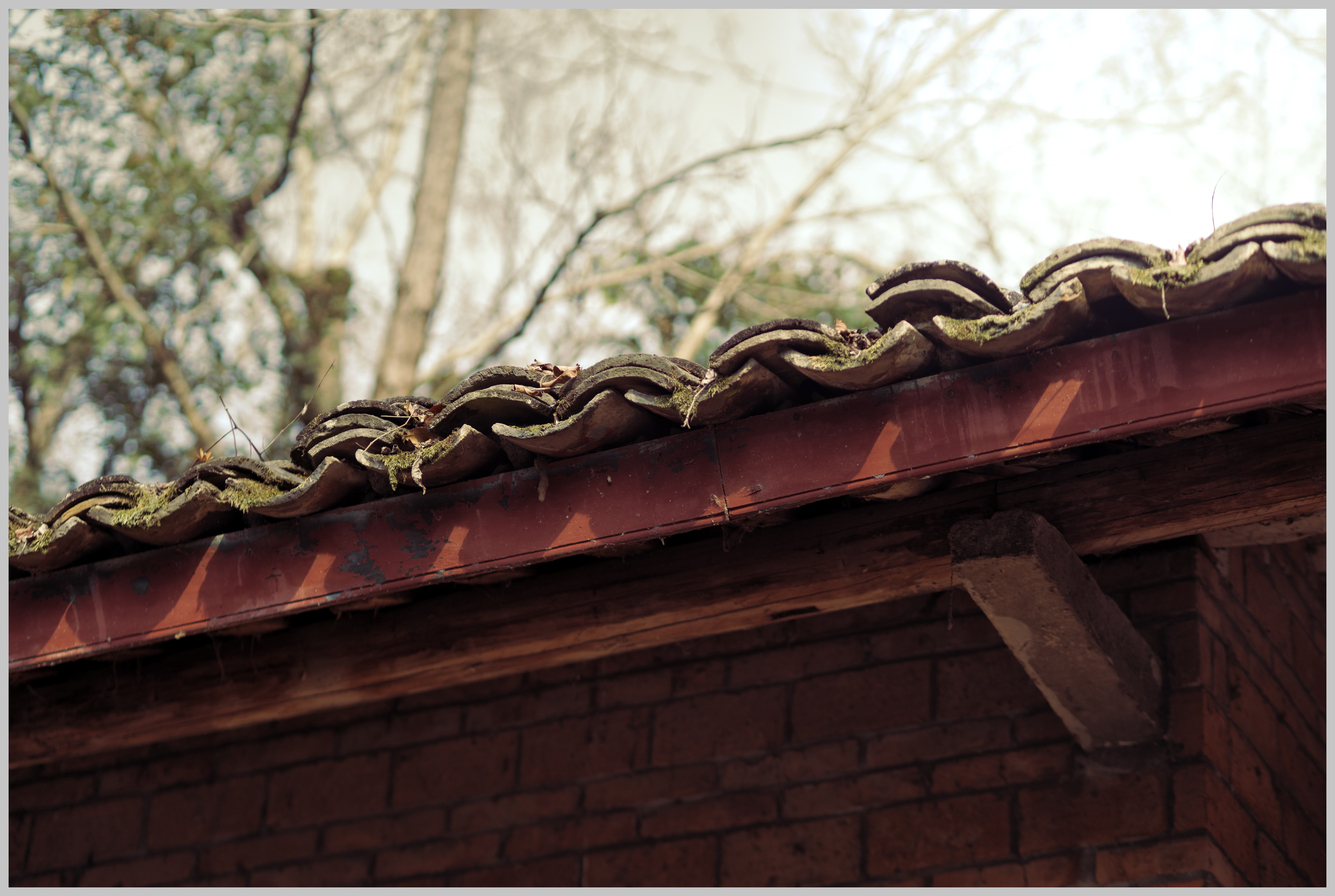 这个周末我去看了我的舅奶奶，留下了四世同堂的回忆